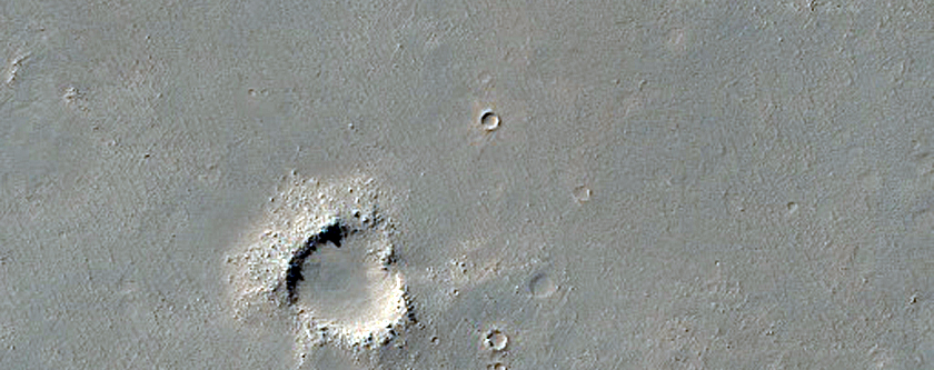 Daedalia Planum Albedo Pattern and Wind Streak Monitoring Site