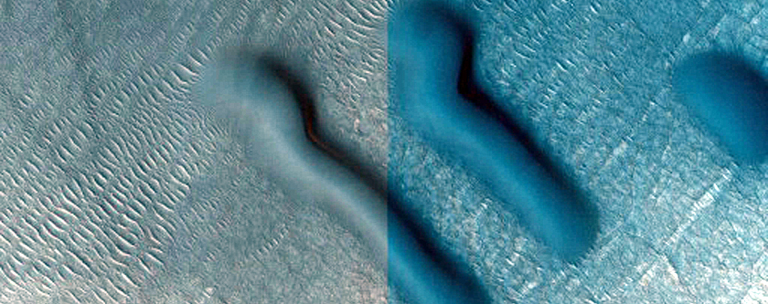 Dune Field
