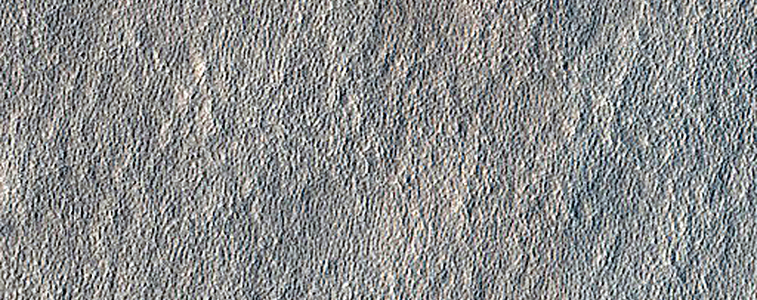 Impact Monitoring in Arcadia Planitia