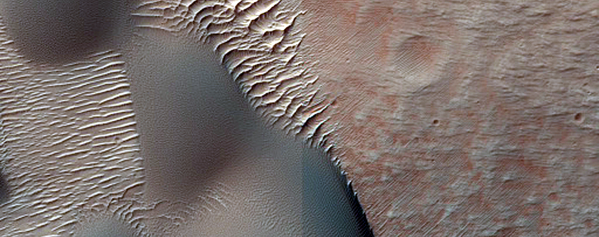 Dune Field