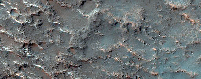Terrain Sample