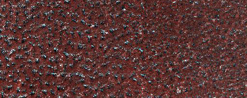 Monitor Northern Plains Bright Patches