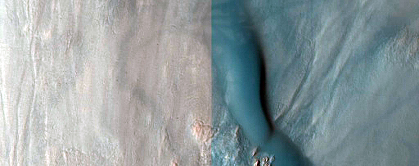 Dune Field