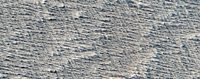 Monitoring New Impact Site
