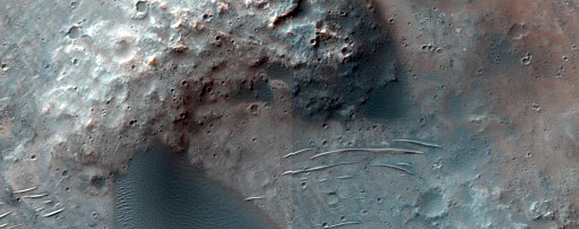 Dune Field