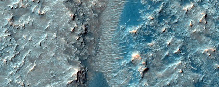 Dune Field