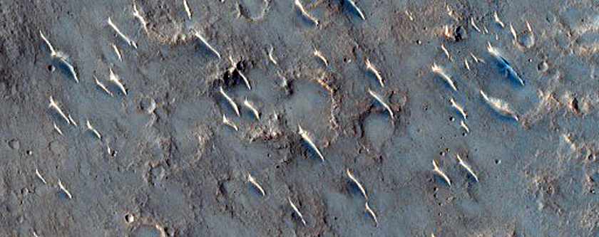 Terrain Sample