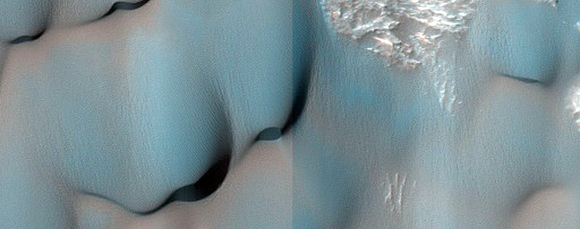 Dune Field