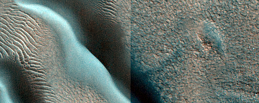Dune Monitoring in Crater