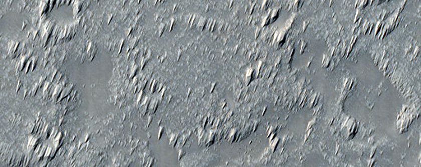 Daedalia Planum