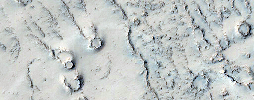 Cratered Cones in Tartarus Colles