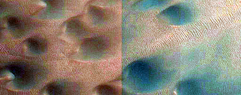 Dune Field