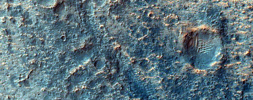 Terrain Sample