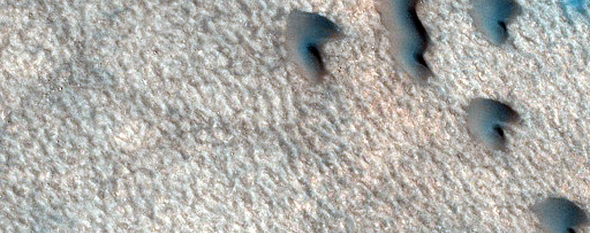 Dune Field