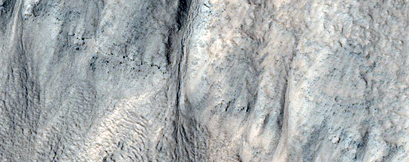 Gully Monitoring