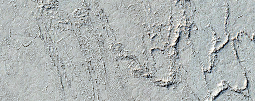 Southeastern Cerberus Palus