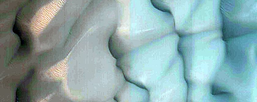 Dune Monitoring in Crater