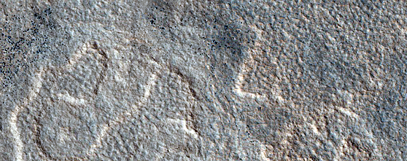Terrain Sample
