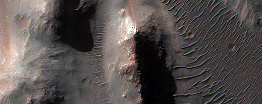 Holden Crater Floor