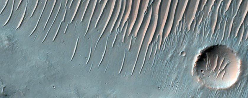 Terrain Sample