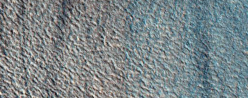 Terrain Sample