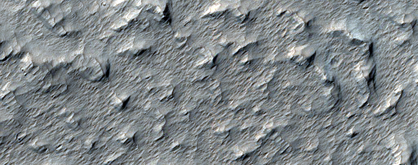 Terrain Sample