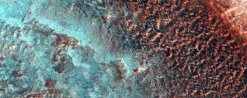 Fringe of Perennial Ice Deposit