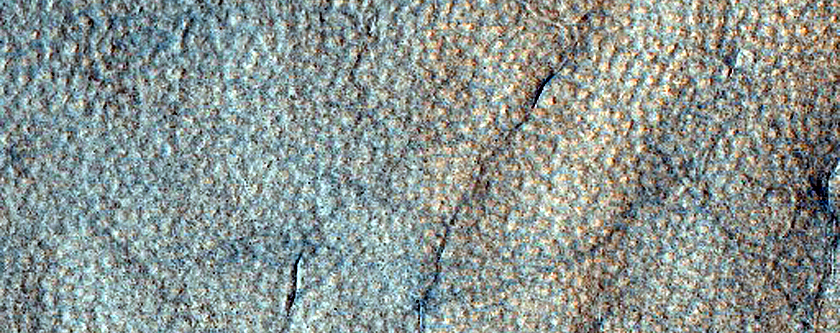Terrain Sample