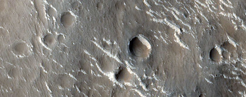 Terrain Sample