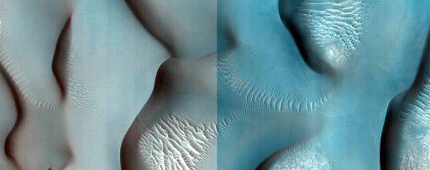 Dune Survey