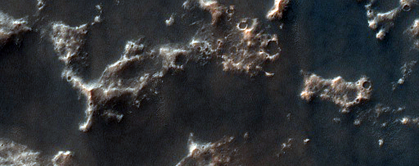 Dune Survey