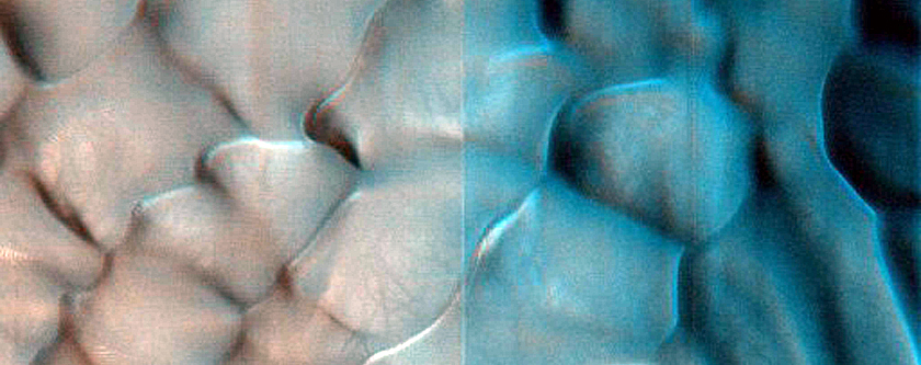 Dune Survey