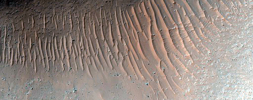 Terrain Sample