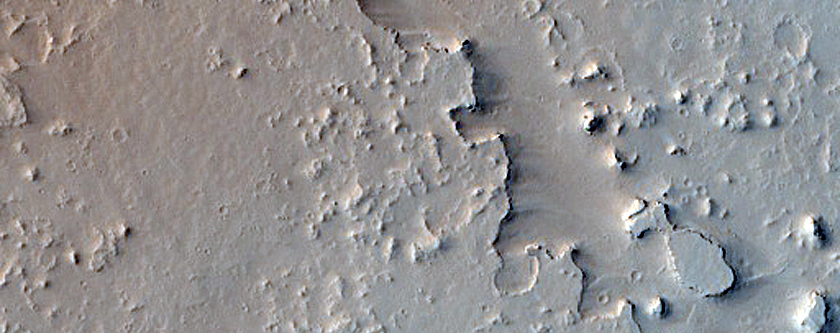 Platy-Ridged Lava