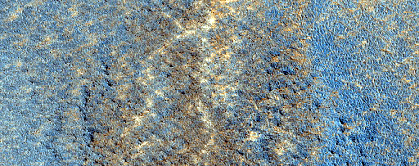Terrain Sample