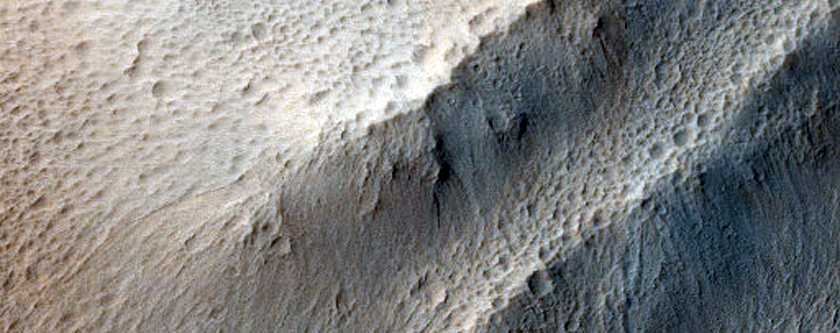 Lycus Sulci
