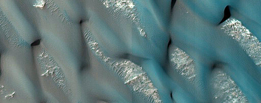 Dune Survey