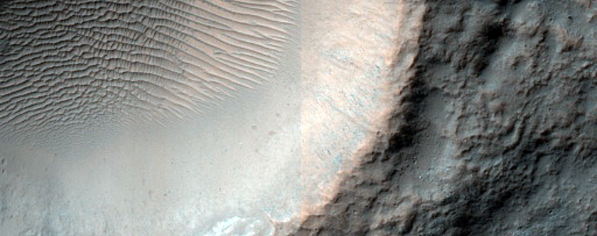 Terrain Sample