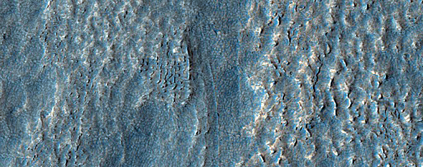 Apron Material in Protonilus Mensae