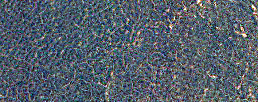 Northern High-Latitude Frost-Enhanced Polygons