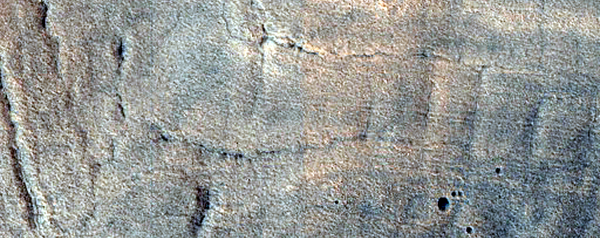 Gullies in Crater in Acidalia Planitia