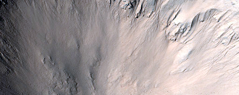 Monitoring Small Gullies in Fresh Crater