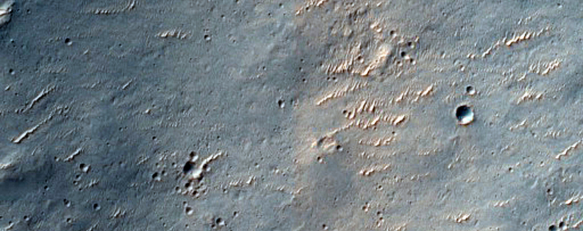 Terrain Sample