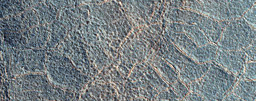 Northern High-Latitude Frost-Enhanced Polygons