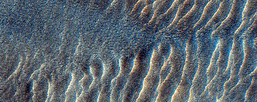 Western Rim of Lyot Crater