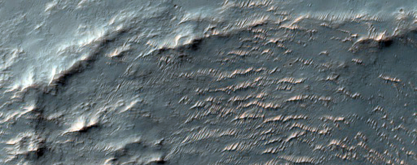 Terrain Sample