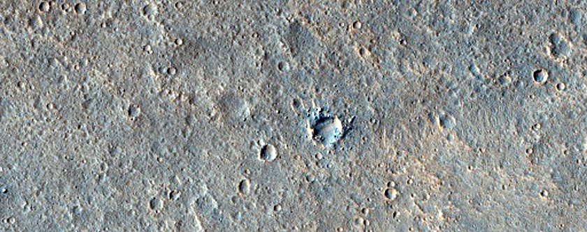 Terrain Sample