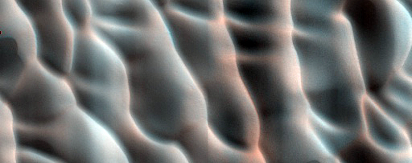 Dune Monitoring in Lomonosov Crater