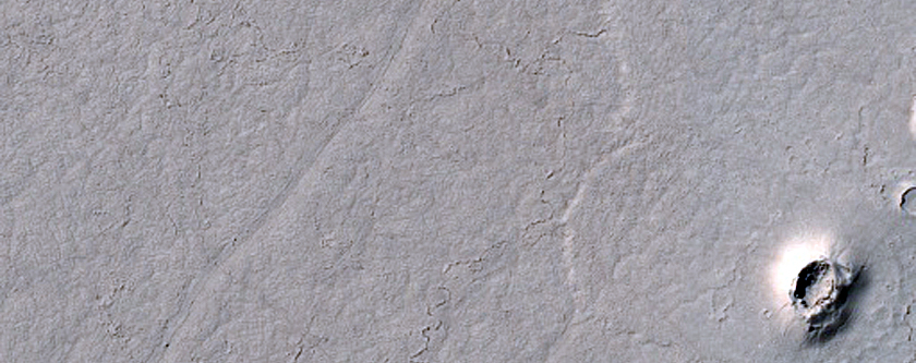 Cratered Cones in Cerberus Palus