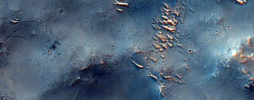 Terrain Sample